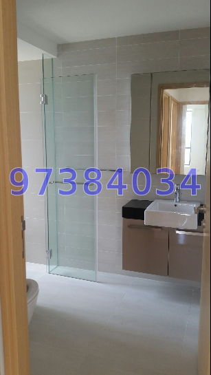 Cityscape @ Farrer Park (D8), Condominium #49476542